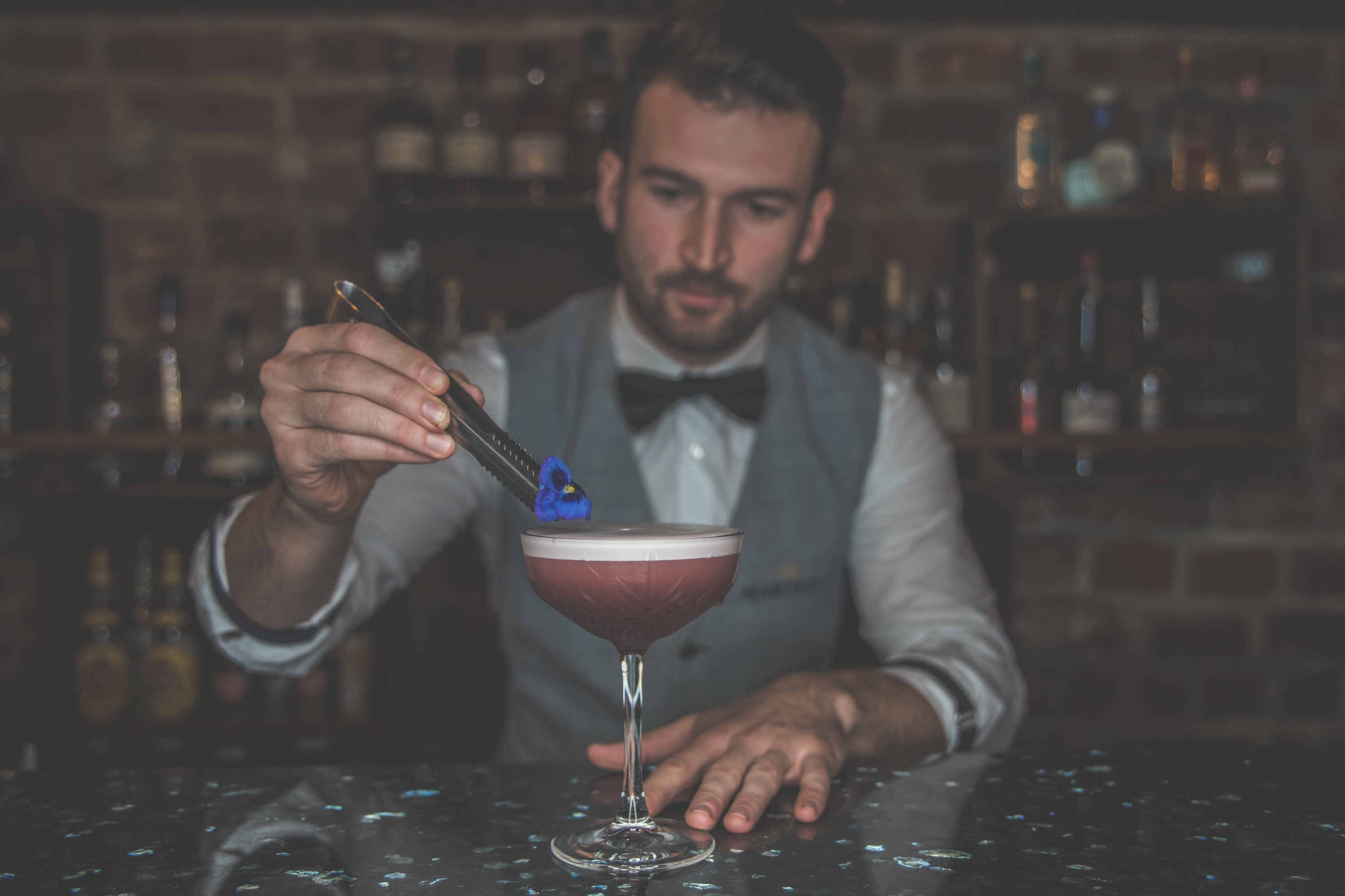 clover_club