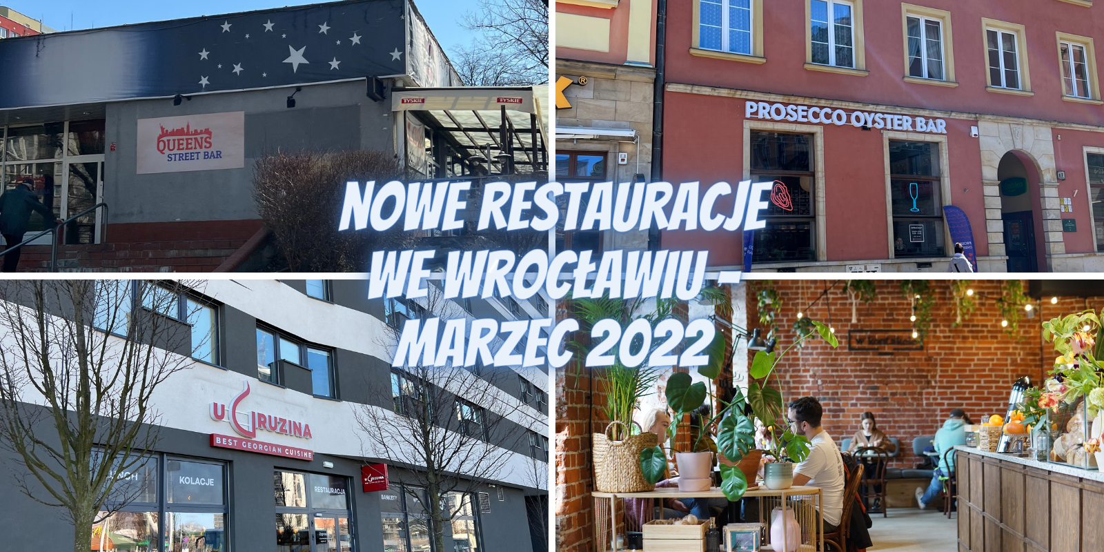 nowe wrowww (1)