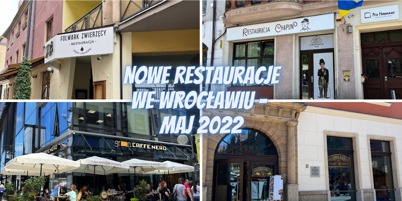 nowe wrowww (4)