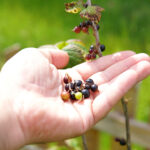 dolina 12_Easy-Resize.com